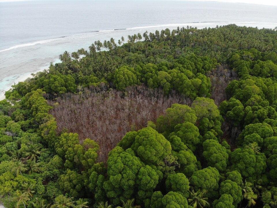 Vaikaradhoo Kandoo Falun Kandoo Kendumaa Kandoo Hovun manaa Kohfi