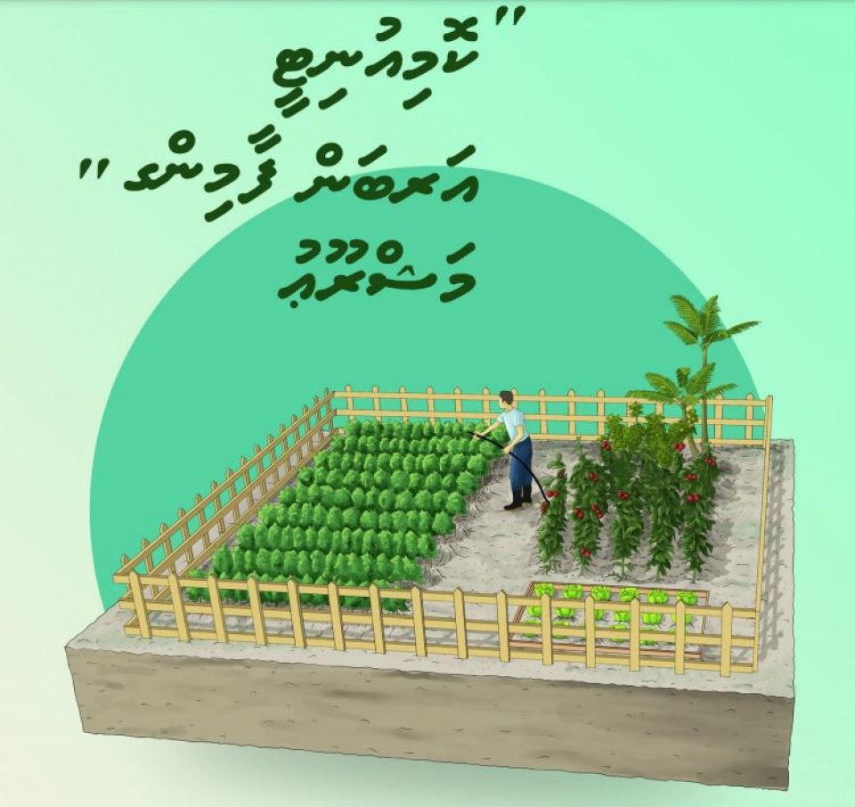 HDC in  Hulhumale gai Dhanduverikamuge Programme Eh Fashany