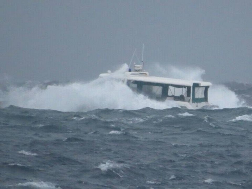 Bodu Bayakah White Alert Nerefi