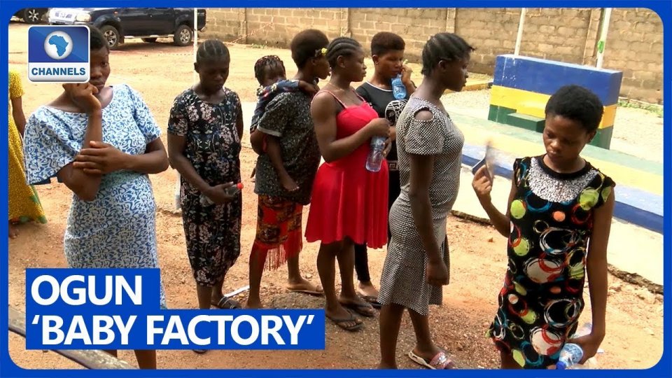 Nigeria: baby factory in anhenun minivankohfi