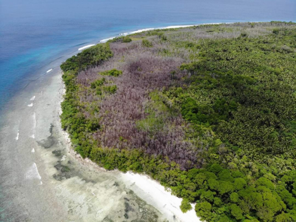 Neykurendhoo monitoring ah