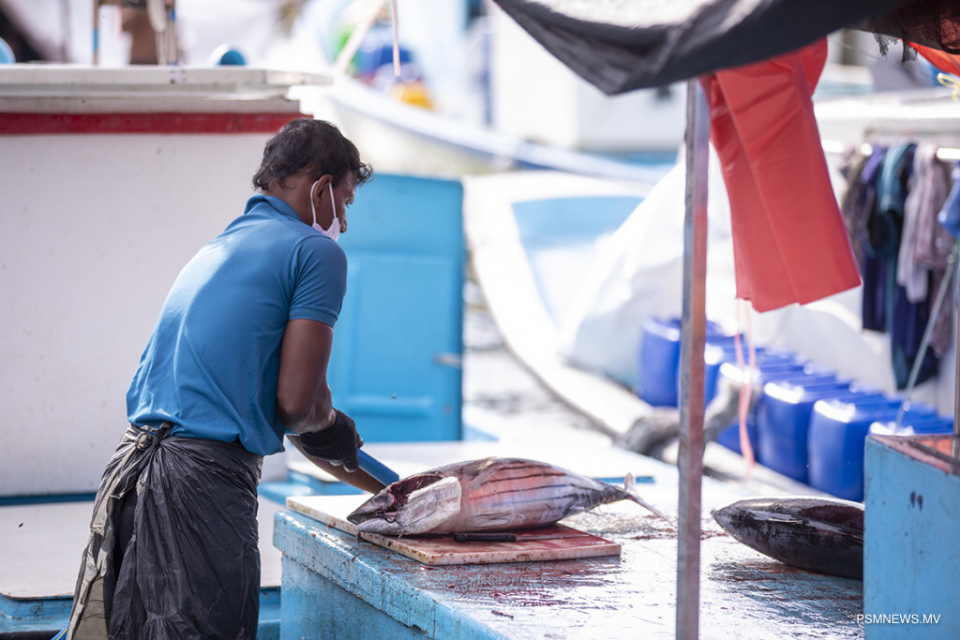 Male’ dhekunu faraathugai mas kandaane thaneh hadhanee