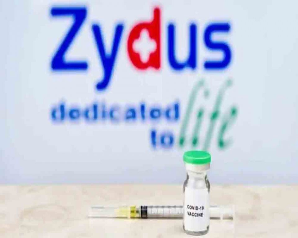 Zydus Cadila vaccine ah huhdha dheefi