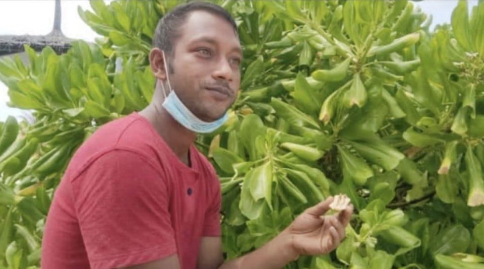 Tour guide eh kamah bune fathuruverinehge faisaathakeh vagah negi massalagai hoadhi meehaa hayyaru kohfi