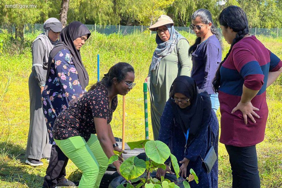 އައްޑޫސިޓީ އިކްއެޓޯރިއަލް ހޮސްޕިޓަލުގެ ނަރުހުންނަށް ޓީމް ބިލްޑިންގް ޕްރޮގްރާމެއް