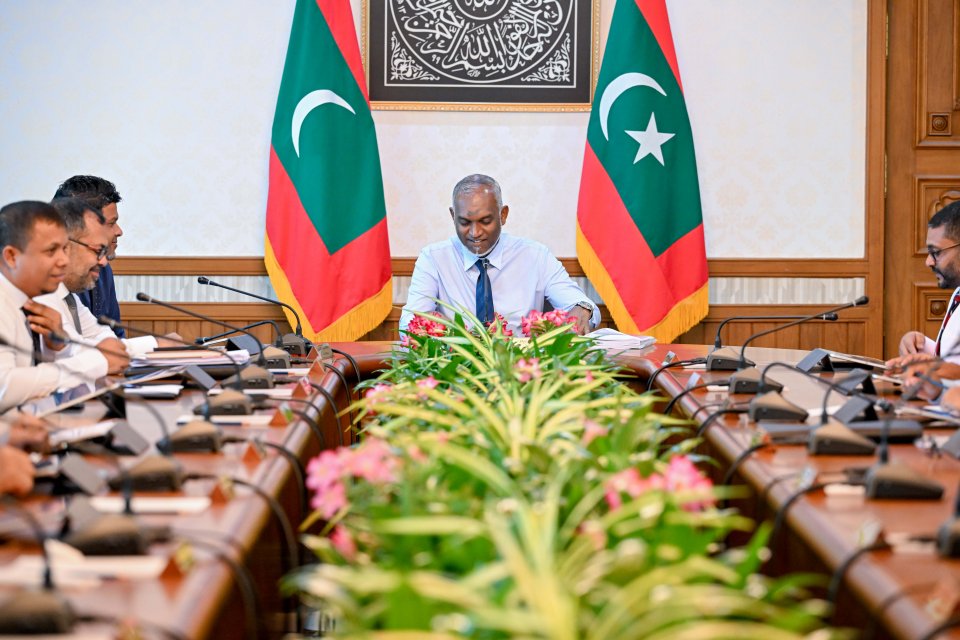 މީޑިއަމް ޓަރމް ރެވެނިއު ސްޓްރެޓެޖީއެއް އެކުލަވާލުމަށް ރައީސް ނިންމަވައިފި