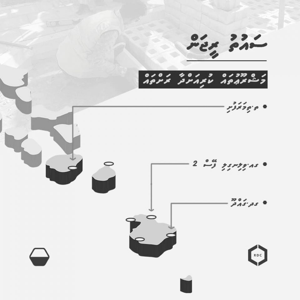 އާރުޑީސީ މަގުތައް ތަރައްގީކުރުމުގެ މަޝްރޫއު: ސައުތު ރީޖަން