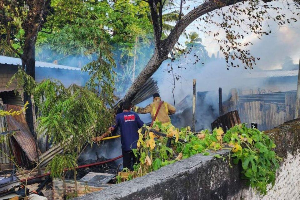 މަރަދޫ ގެއެއްގައި ރޯވި އަލިފާން އެމްއެންޑީއެފުން ނިއްވާލައިފި