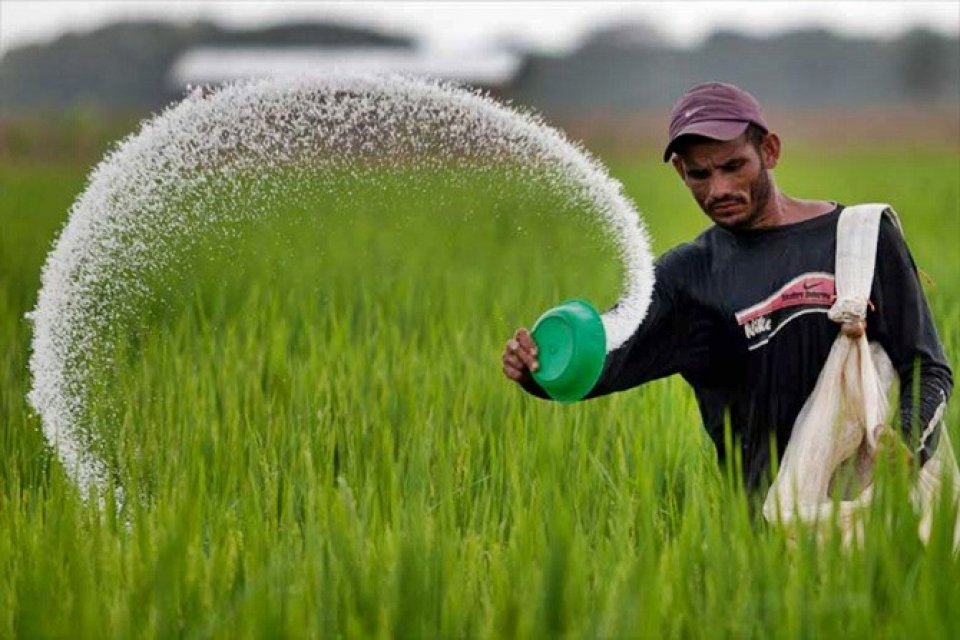 India in food security kashavaru kohfi