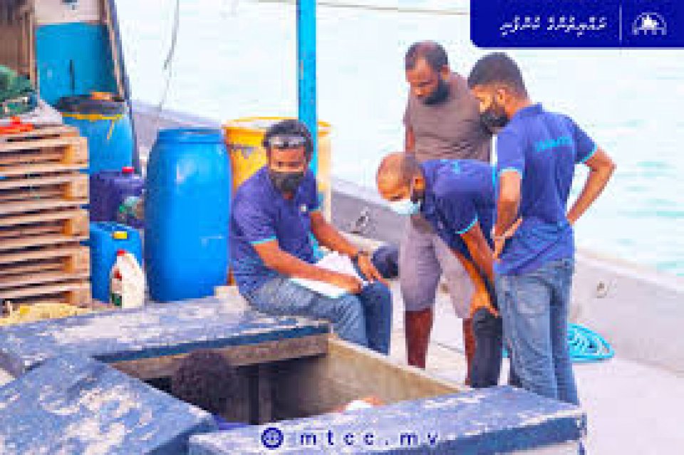 ޔަންމާ އިންޖީނު:މަސްވެރިންގެ އަމާނާތްތެރި ބައިވެރިޔާ