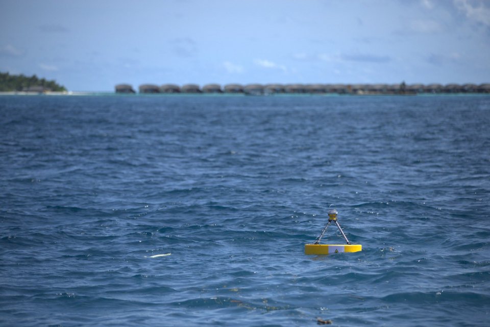 ކަނޑުގެ ރާޅުންތަކުން ހަކަތަ އުފައްދަން ސްޓެލްކޯއިން ދިރާސާއެއް ފަށައިފި