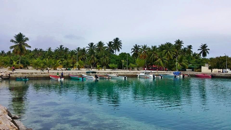 މި މަހު ތެރޭގައި، ނަޑެއްލާގައި އާ ބަނދަރެއް ހެދުމަށް ކޮންޓްރެކްޓަރެއް ހޯދަނީ