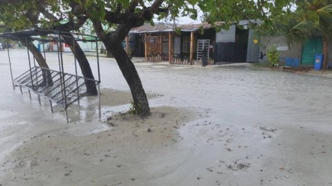 Udha araane kamah lafaa koh bodu bayakah white alert