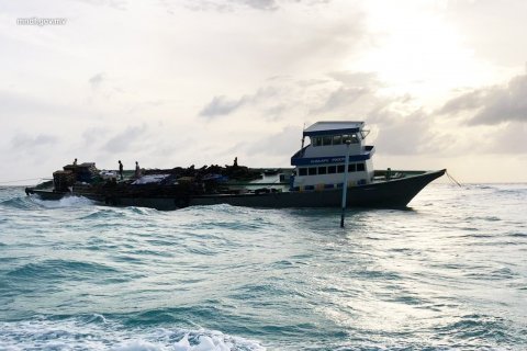 Neru machchah urunu dhoangneh fun kurumuge masakkaiy fashaifi