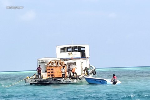 Farah eri dhoangneh funn kuran ulhunu falhiveriyakah aniyaa vejje