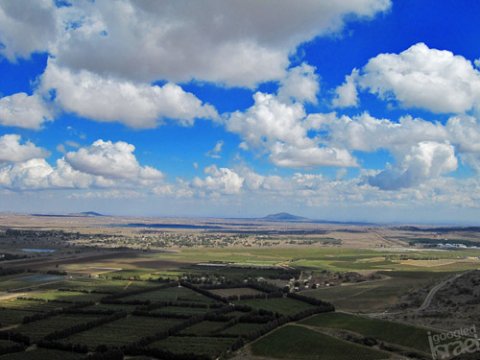 Israel in Golan amilla kurithaa 40 aharu