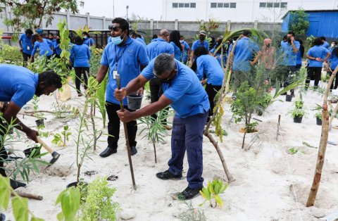 Stelco in kudakudhinge haveereh baavvanee