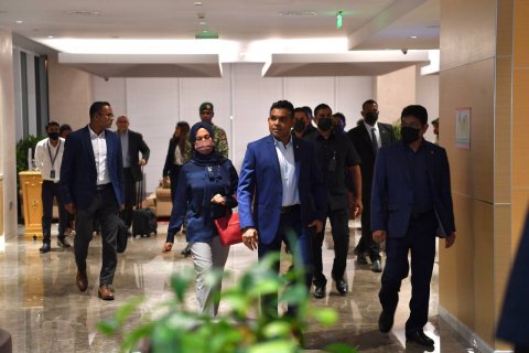 Naaib raees UAE ah furaa vadaigenfi