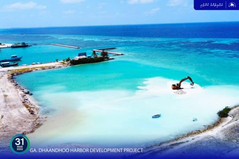 Dhaandhoo bandharu tharaggee kurumuge amalee massakaiy fashaifi