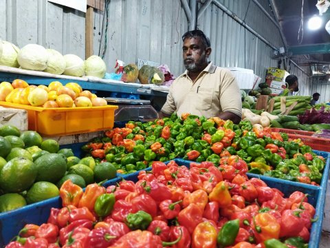 Ka'ndoodhoo miruhuge agu vetti dha'nduverin maayoos vefai