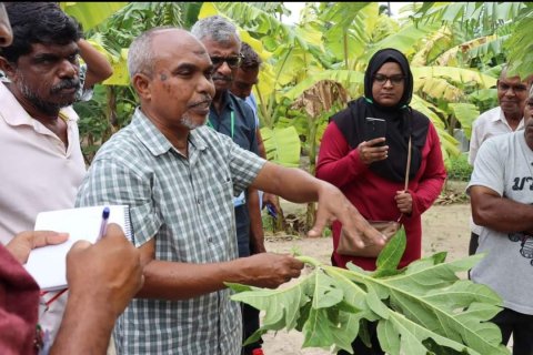 Dha'nduveringe dhuvaai gulhigen Kaashidhoo gai gina harakaaiy thakeh