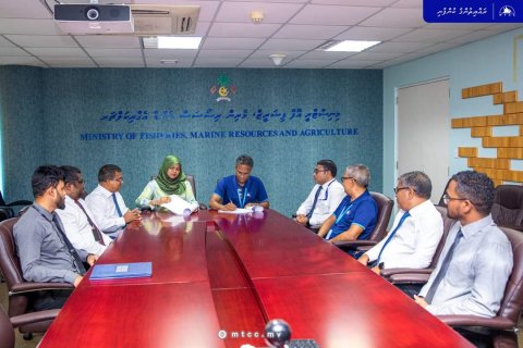 ކޫއްޑޫ ބަނދަރުގެ އީ.އައި.އޭ ހެދުމުގެ މަސައްކަތް ފަށައިފި 