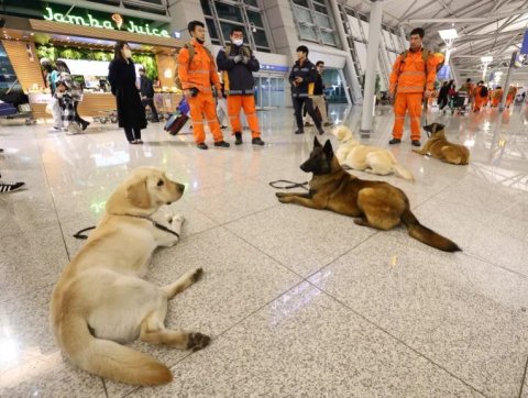 China ge rescue team thah turkey ah fonuvaifi