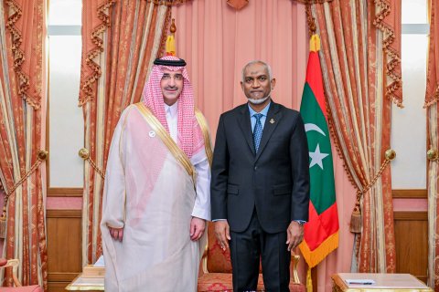 Chief Executive Officer of the Saudi Fund for Development pay a courtesy call on the President