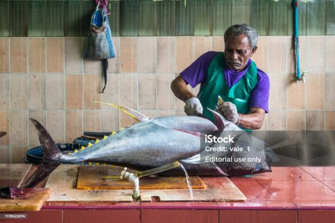  މަސް މާރުކޭޓުން މުޑުދާރުކަން ފިލުވާލާކަށް ނުވޭބާ