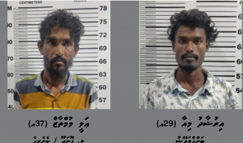  ވިލިނގިއްޔަށް މަސްތުވާތަކެތި އެތެރެކުރަން އުޅުނު ދެ މީހަކު ހައްޔަރުކޮށްފި