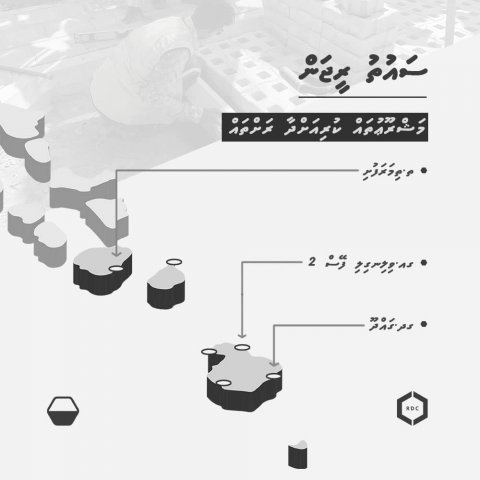 އާރުޑީސީ މަގުތައް ތަރައްގީކުރުމުގެ މަޝްރޫއު: ސައުތު ރީޖަން