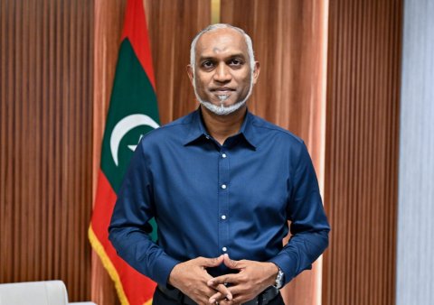 ގޭންގު ކުށްތައް މަދުކުރުމަށް ހަރުދަނާ ފިޔަވަޅުތަކެއް އެޅުމަށް ތައްޔާރުވަނީ