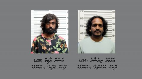 މަސްތުވާތަކެތީގެ ވިޔަފާރި ކުރުމުގައި އިސްކޮށް ހަރަކާތްތެރިވާ ދެ މީހަކު ހައްޔަރު!